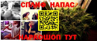 прущие грибы Ипатово
