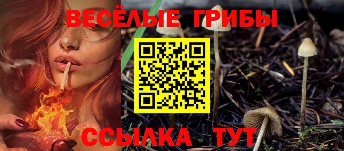 Тулун  Псилоцибиновые грибы GOLDEN TEACHER  Вход с VPN 